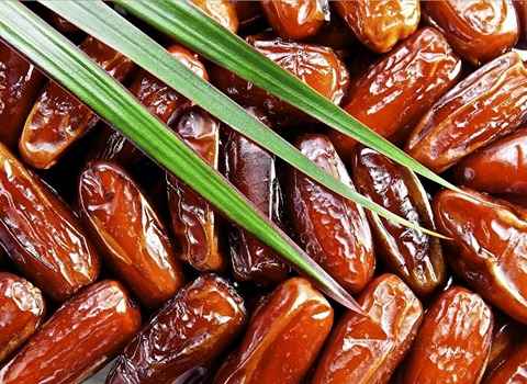 قیمت خرید خرما صادراتی ربی + فروش ویژه